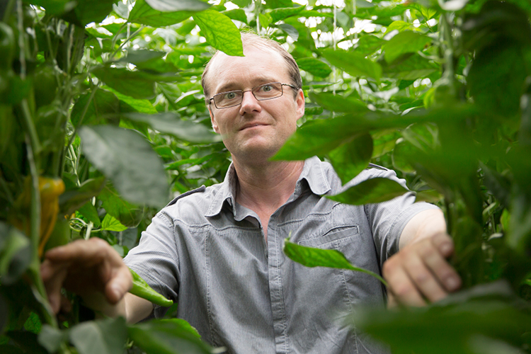 Bioleguma Bio Gemüse Schweiz Seeland Bioleguma Bio Gemüse Schweiz Seeland