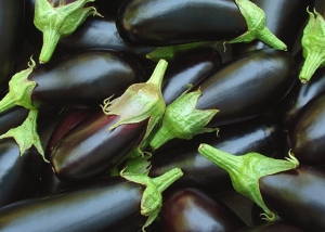 Bioleguma Bio Gemüse Schweiz Seeland