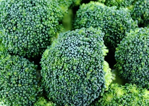 Bioleguma Bio Gemüse Schweiz Seeland