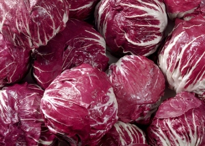 Bioleguma Bio Gemüse Schweiz Seeland