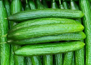 Bioleguma Bio Gemüse Schweiz Seeland