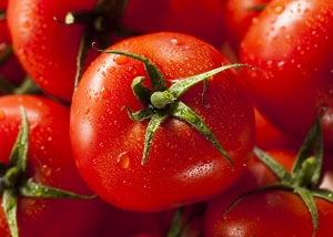 Bioleguma Bio Gemüse Schweiz Seeland