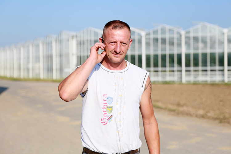 Bioleguma Bio Gemüse Schweiz Seeland Bioleguma Bio Gemüse Schweiz Seeland