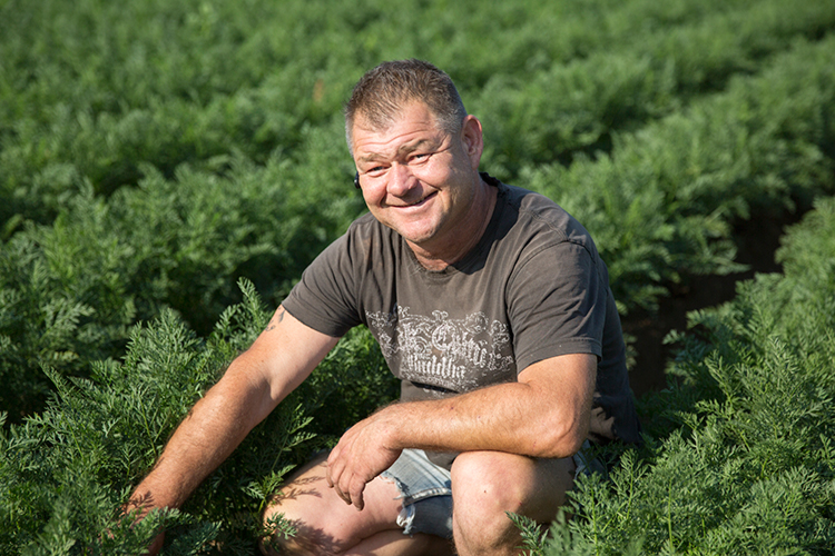 Bioleguma Bio Gemüse Schweiz Seeland Bioleguma Bio Gemüse Schweiz Seeland