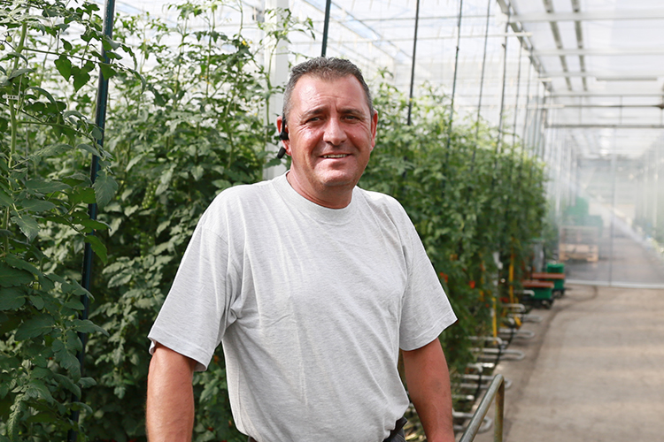 Bioleguma Bio Gemüse Schweiz Seeland Bioleguma Bio Gemüse Schweiz Seeland