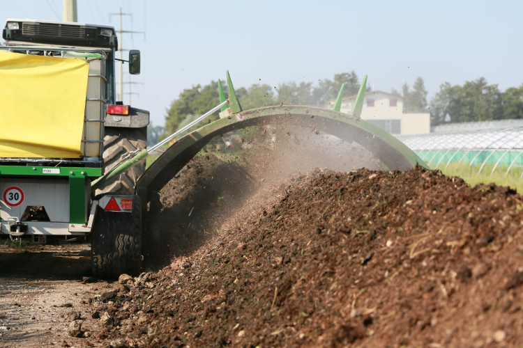 Bioleguma Bio Gemüse Schweiz Seeland Bioleguma Bio Gemüse Schweiz Seeland