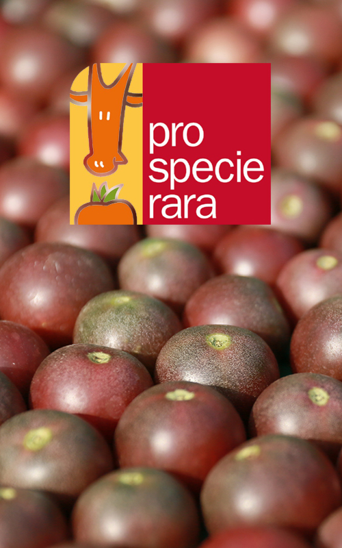 Bioleguma_Pro-Specie-Rara