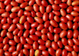 Bioleguma Bio Gemüse Schweiz Seeland