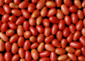 Bioleguma Bio Gemüse Schweiz Seeland