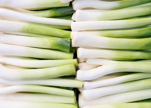 Bioleguma Bio Gemüse Schweiz Seeland