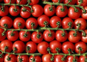 Bioleguma Bio Gemüse Schweiz Seeland