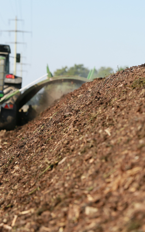 Bioleguma Bio Gemüse Schweiz Seeland Bioleguma Bio Gemüse Schweiz Seeland