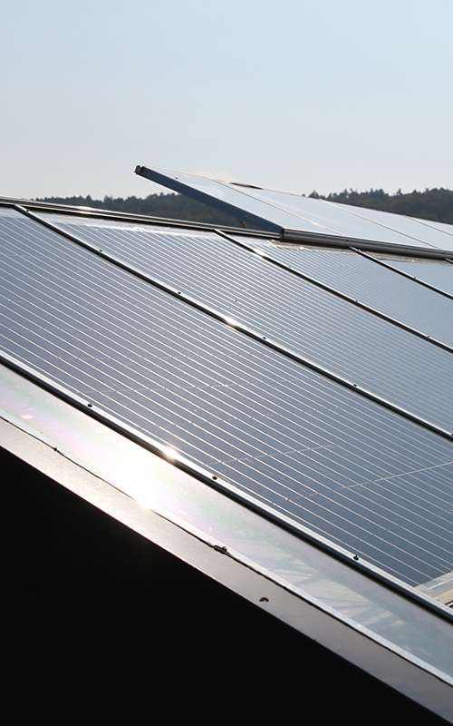 Bioleguma_Stromproduktion2